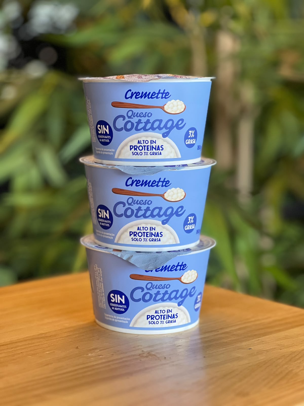 Queso cottage