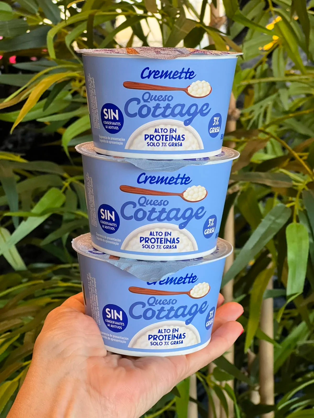 Queso cottage