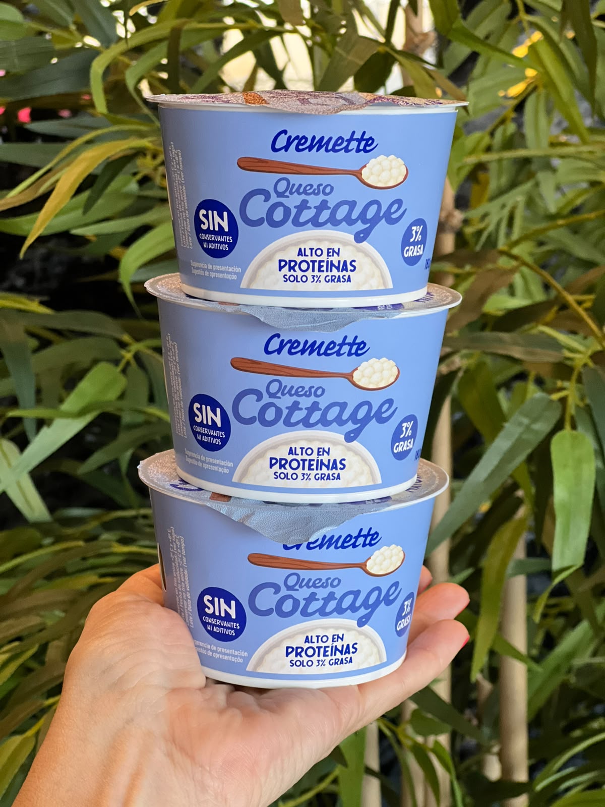 Queso cottage
